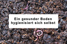 Ein gesunder Boden hygienisiert sich selbst Ein gesunder Boden hygienisiert sich selbst
